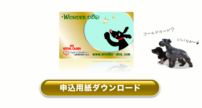 このページは現在準備です。