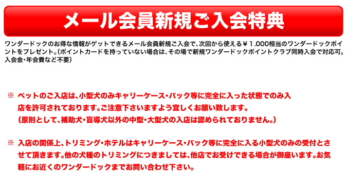 パルコ店オープニングイベント