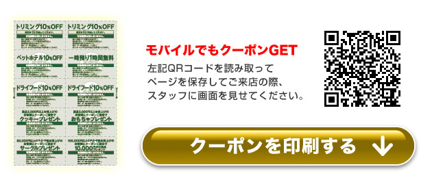 モバイルでもクーポンGET