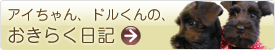 アイちゃん、ドルくんの、おきらく日記